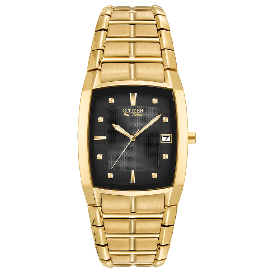 Citizen Eco-Drive Paradigm gold-tone Watch