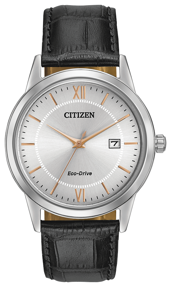 Citizen Mens Eco-Drive Corso Dress/Classic Silver-Tone Stainless Steel Case, Black Leather Strap, Silver-Tone Dial, WR 30M